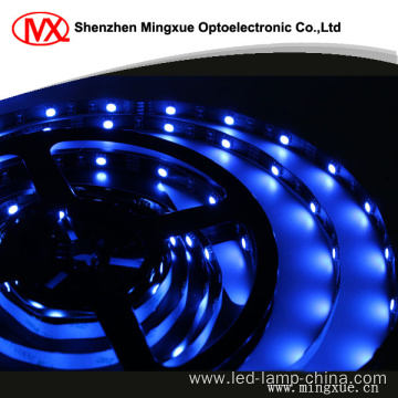 SMD5050 LED Strip Light